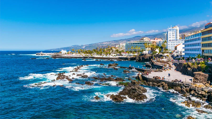 Excursion to the island + Loro Park