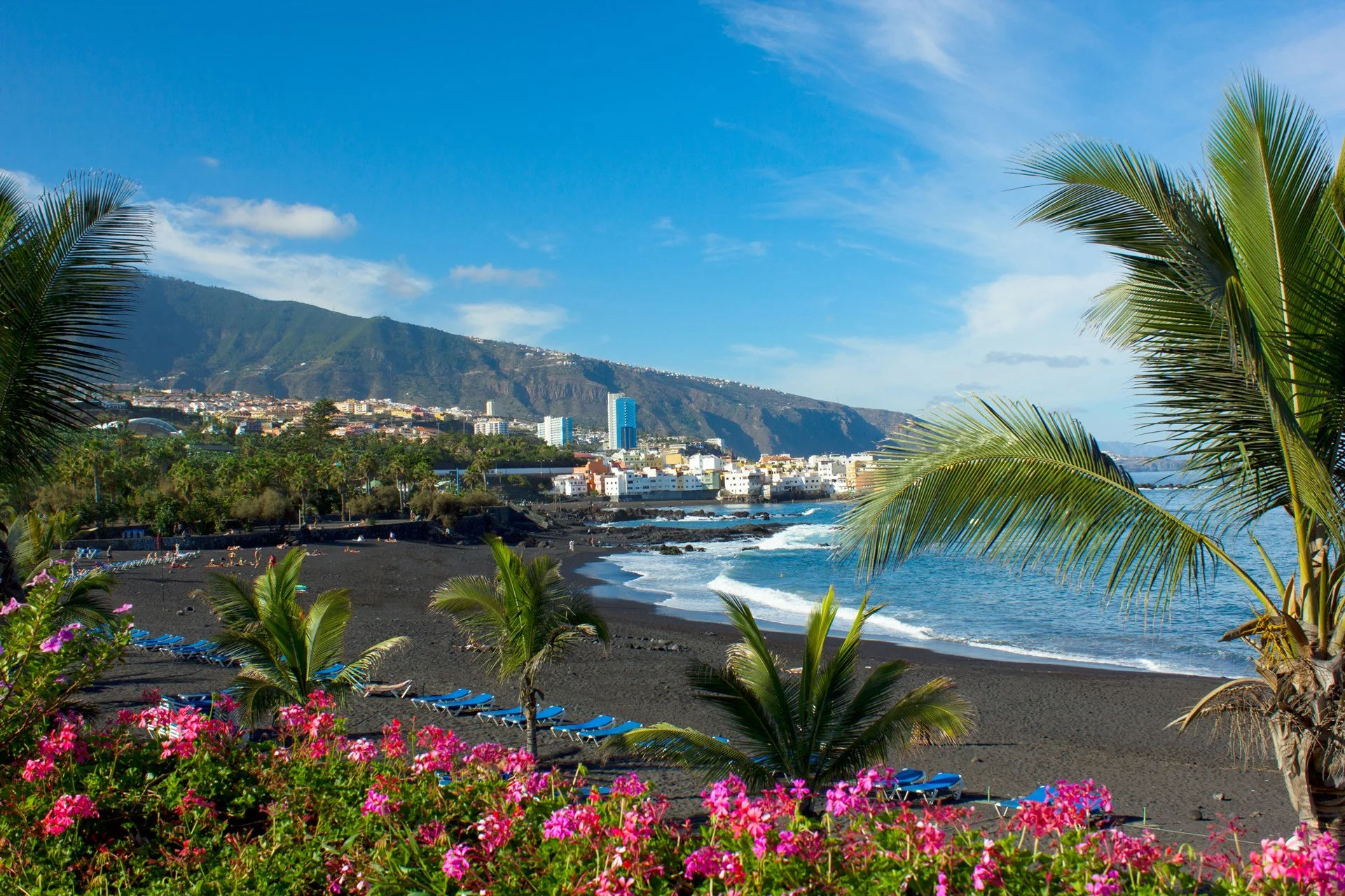 Excursion to the island + Loro Park