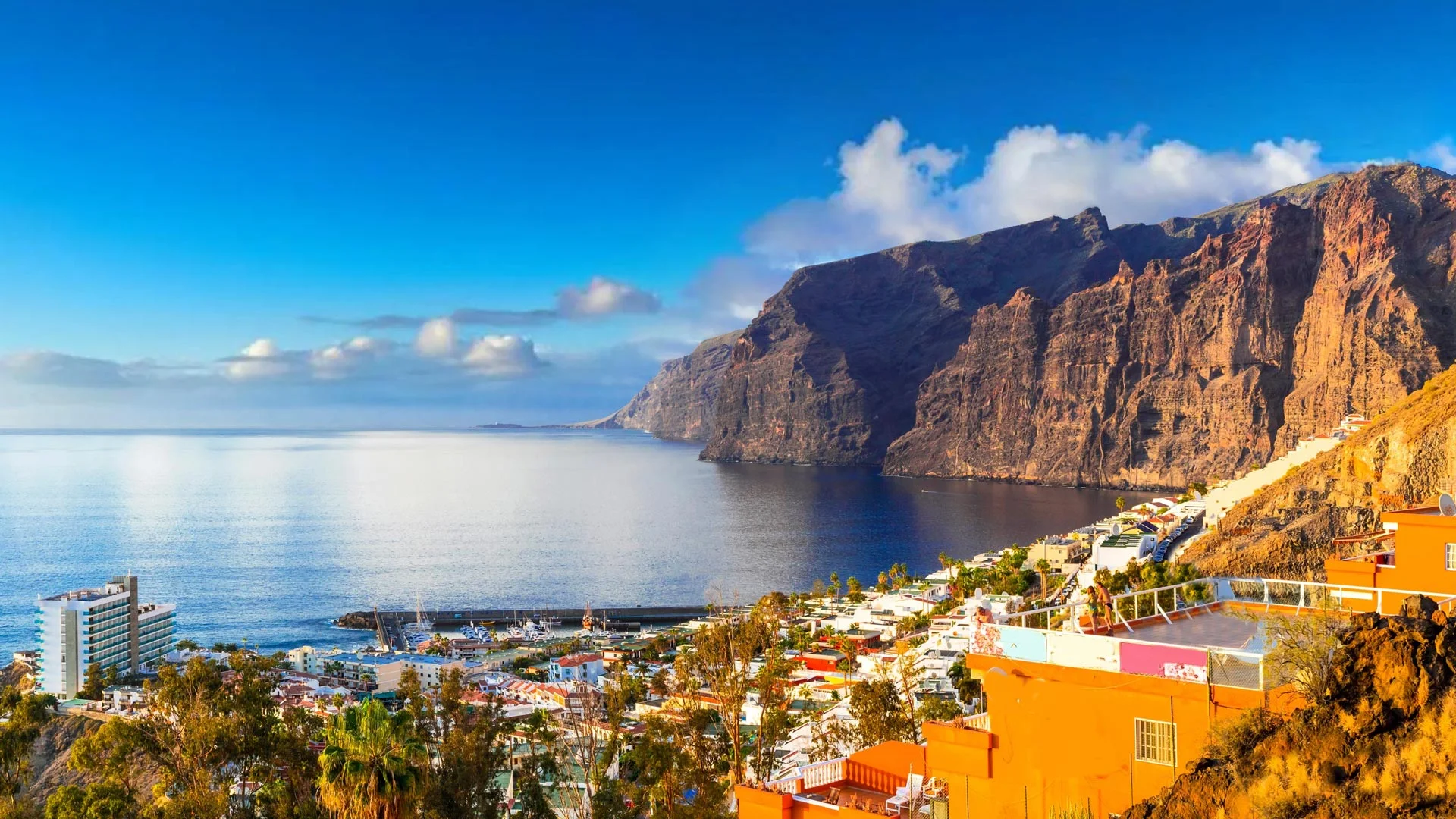 Excursion to the island + Loro Park
