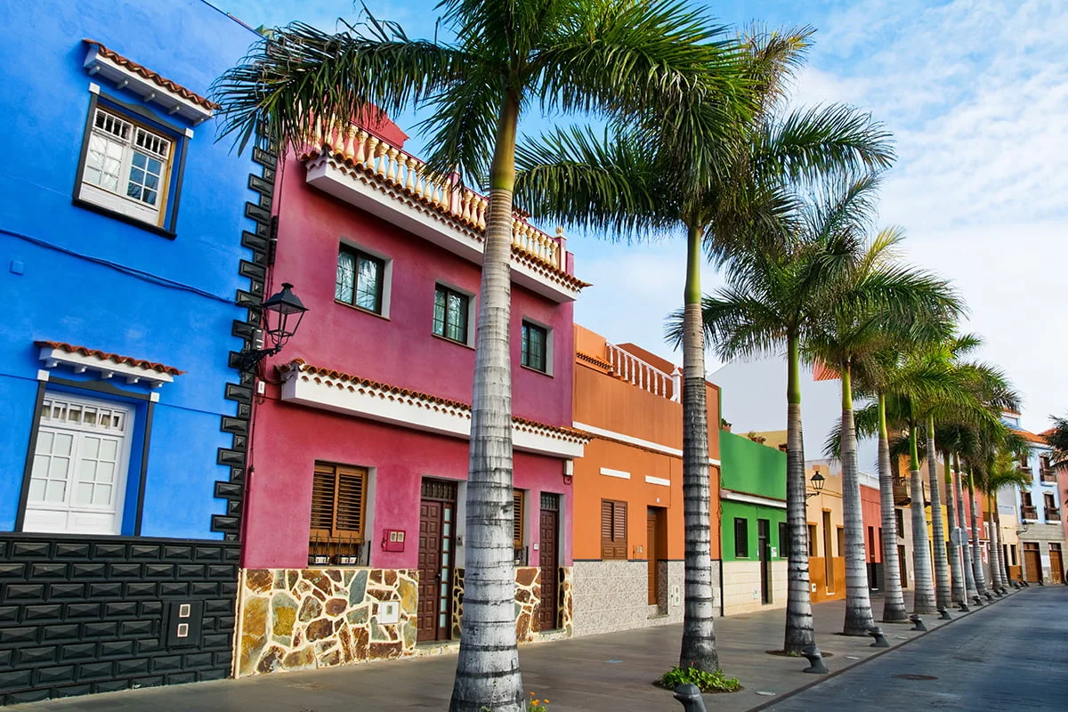 Excursion to the island + Loro Park