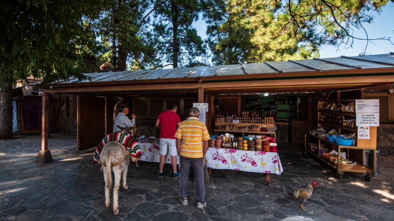 Grand Tour Gran Canarii – góry, Teror, Las Palmas