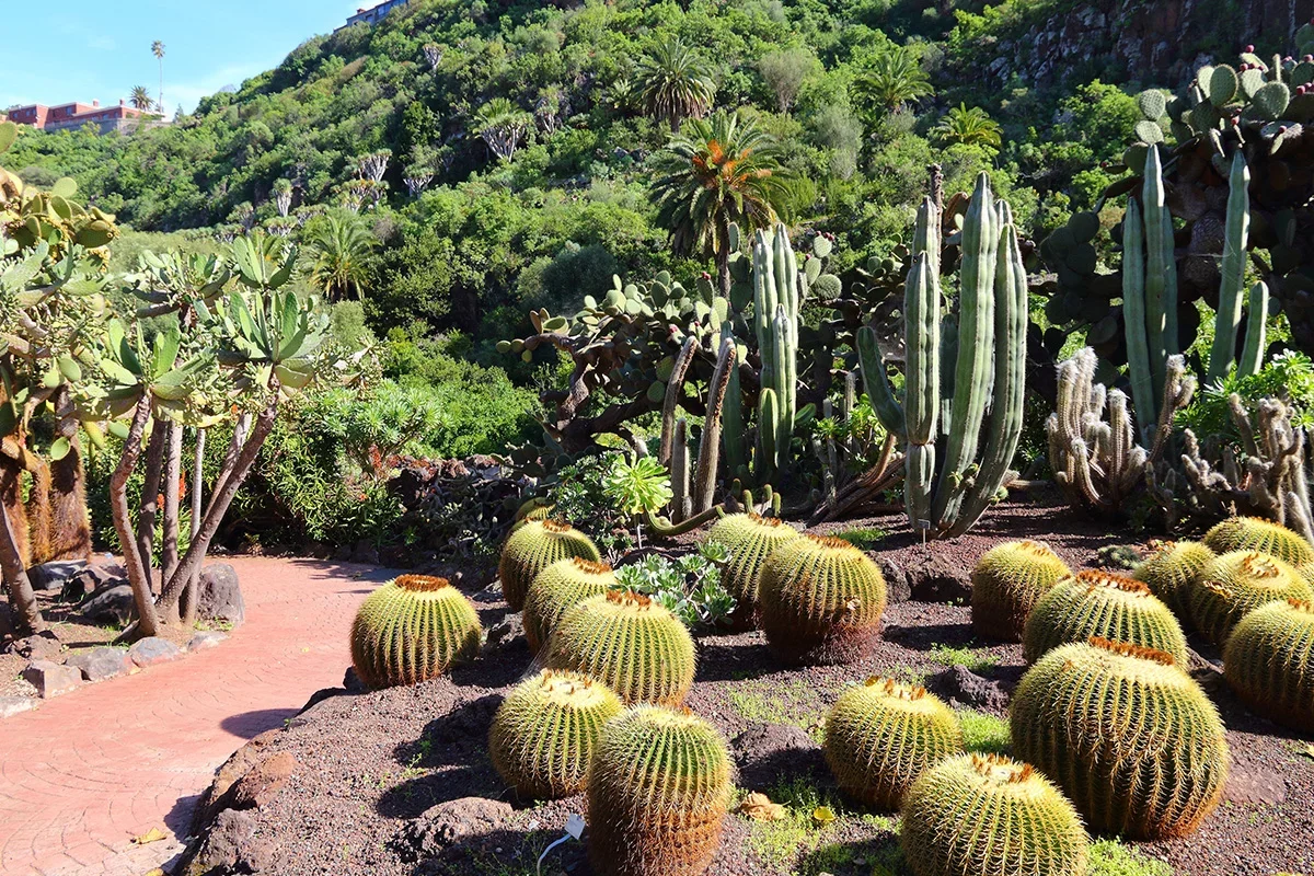 Eastern Gran Canaria with a Polish-Speaking Guide