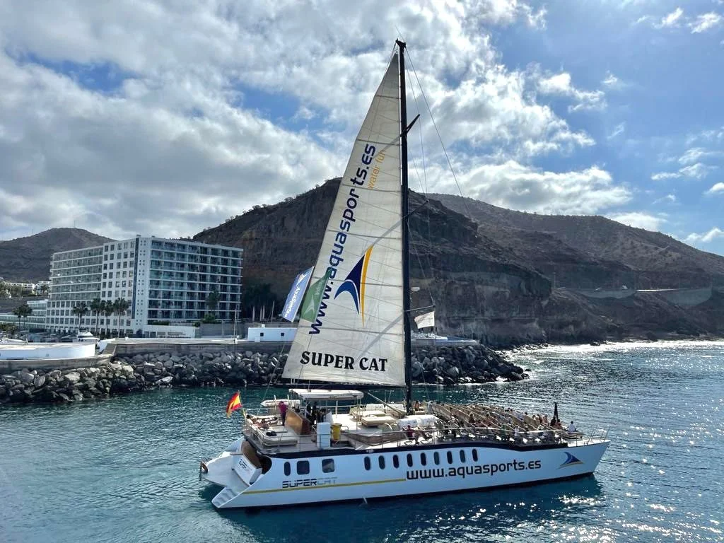 2-Hour Catamaran Cruise with Dolphin and Whale Watching