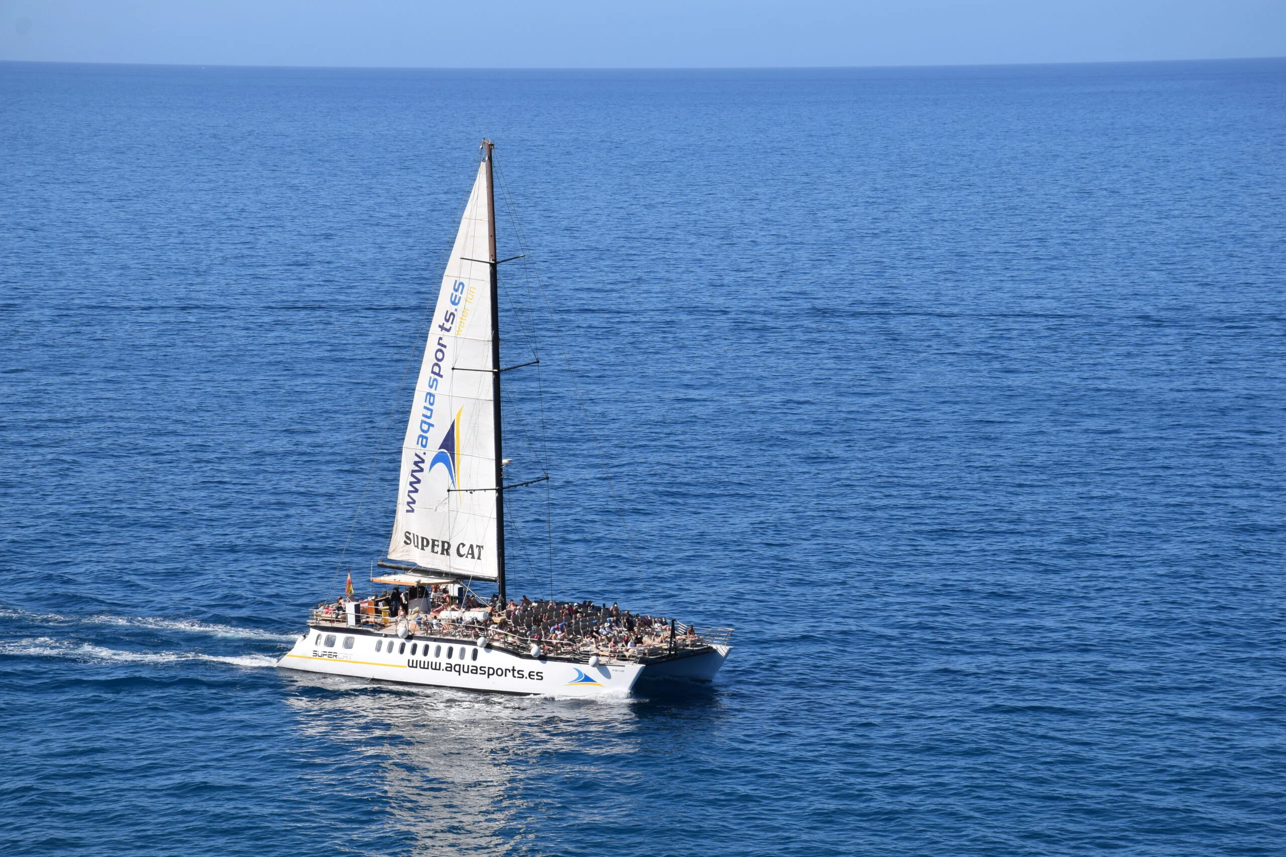 2-Hour Catamaran Cruise with Dolphin and Whale Watching