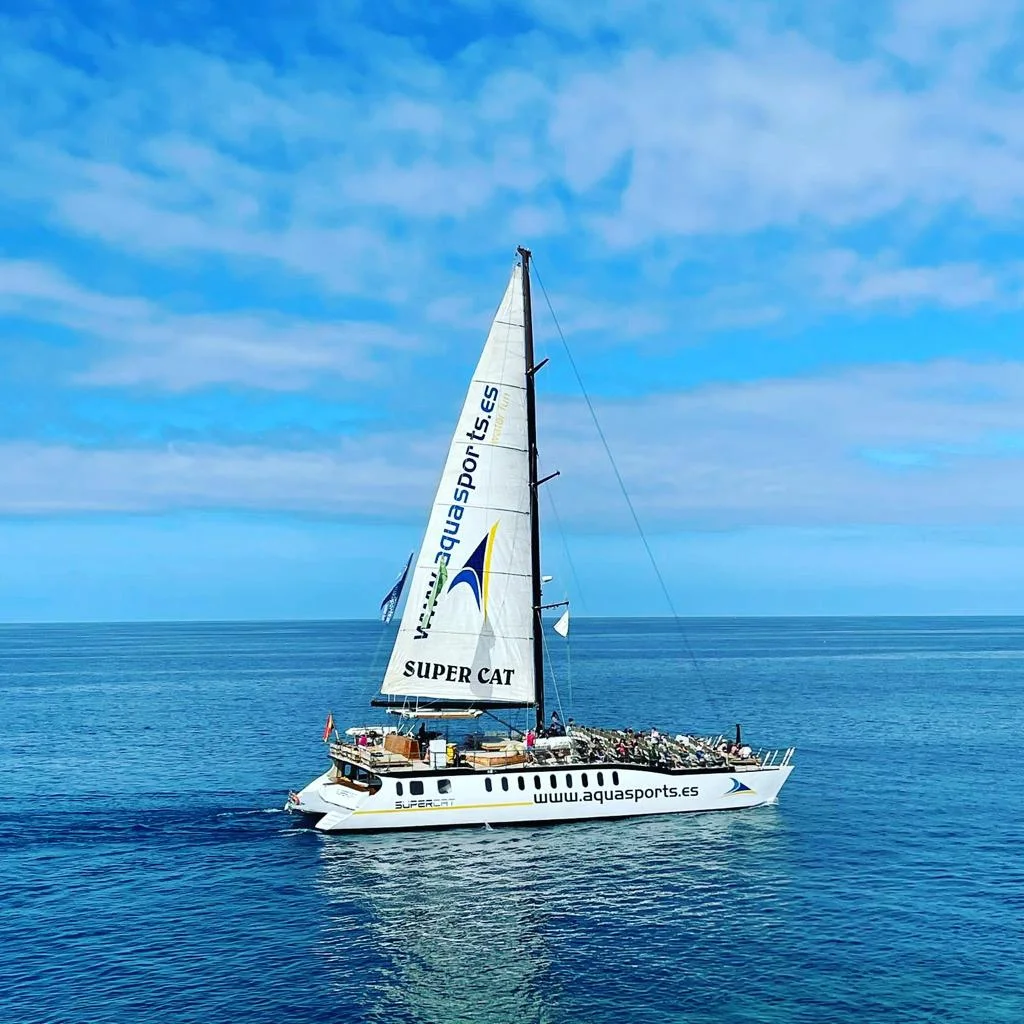 2-Hour Catamaran Cruise with Dolphin and Whale Watching