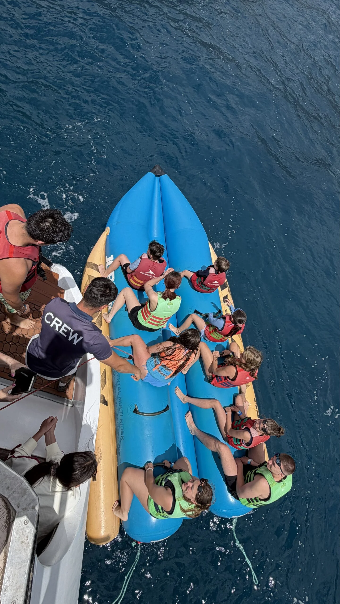 Avistamiento de delfines en catamarán 4h + actividades acuáticas