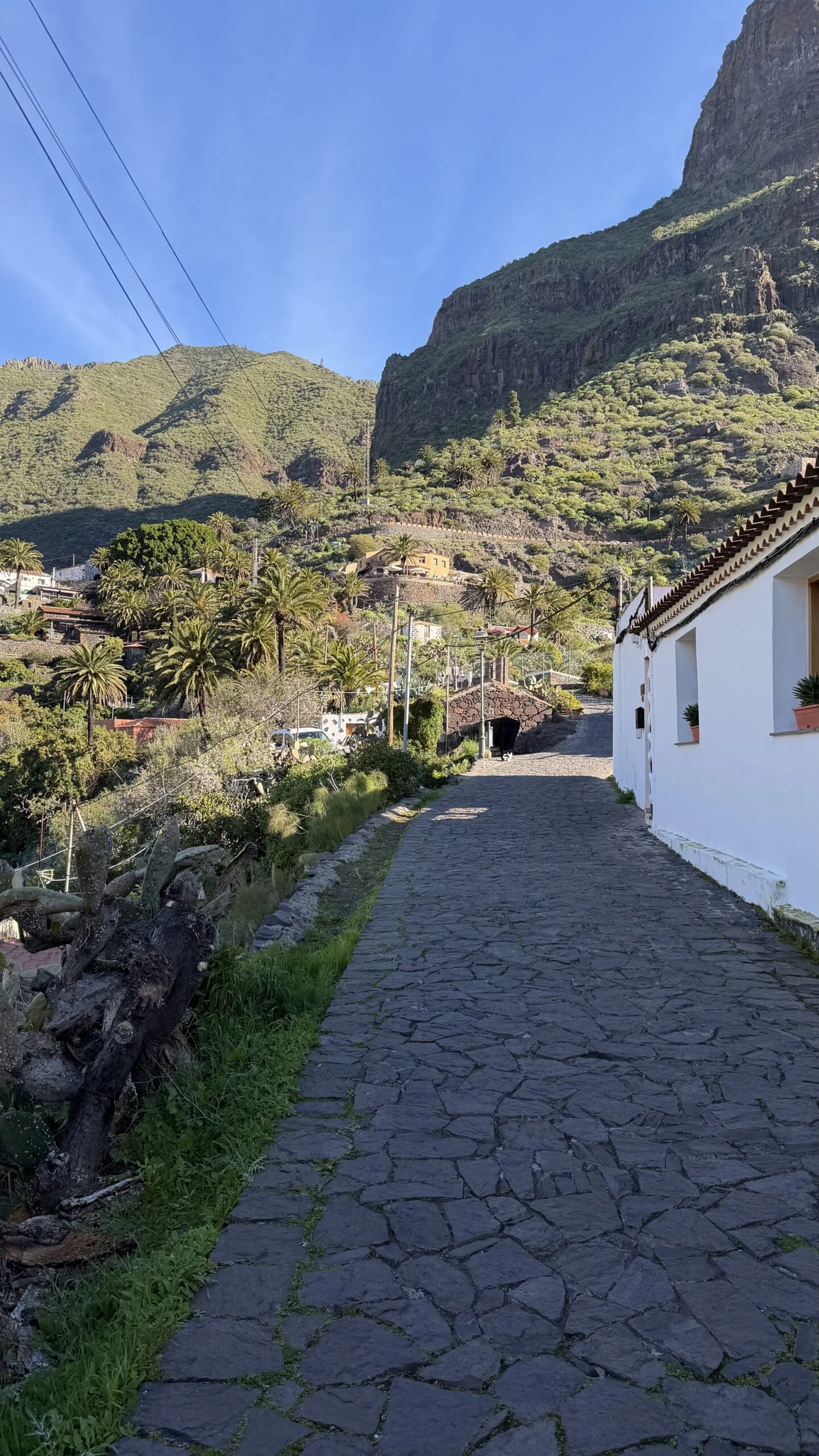 Western Tenerife and the legendary Masca