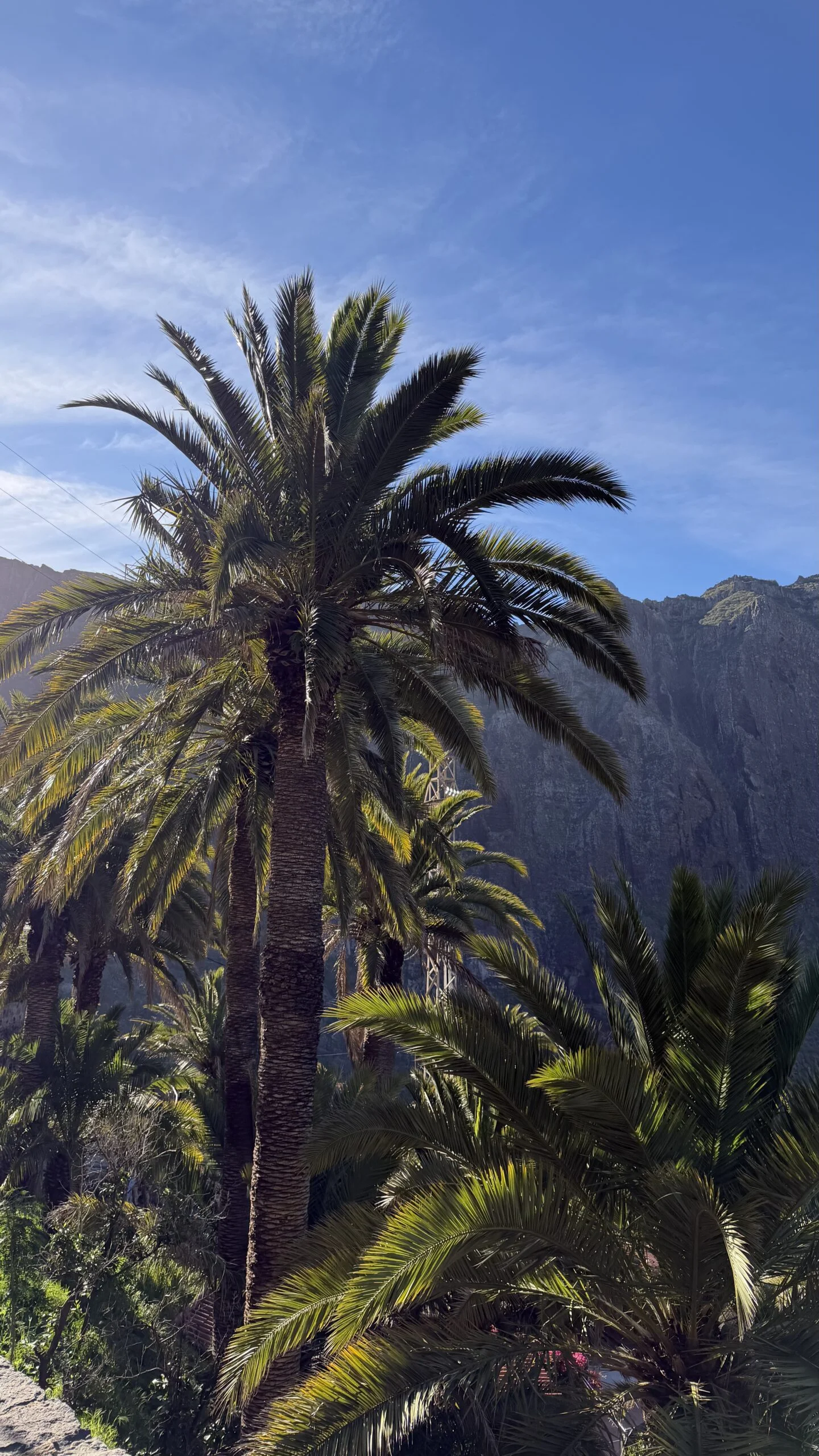 Western Tenerife and the legendary Masca