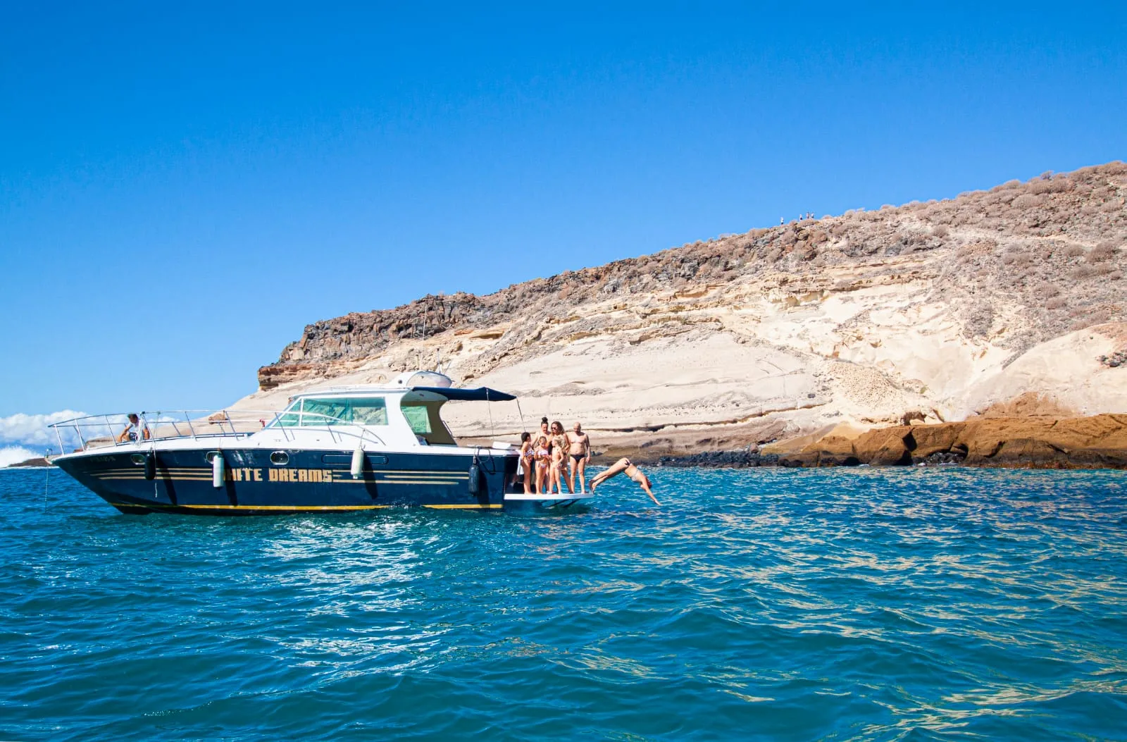Yacht cruise dolphin and whale watching