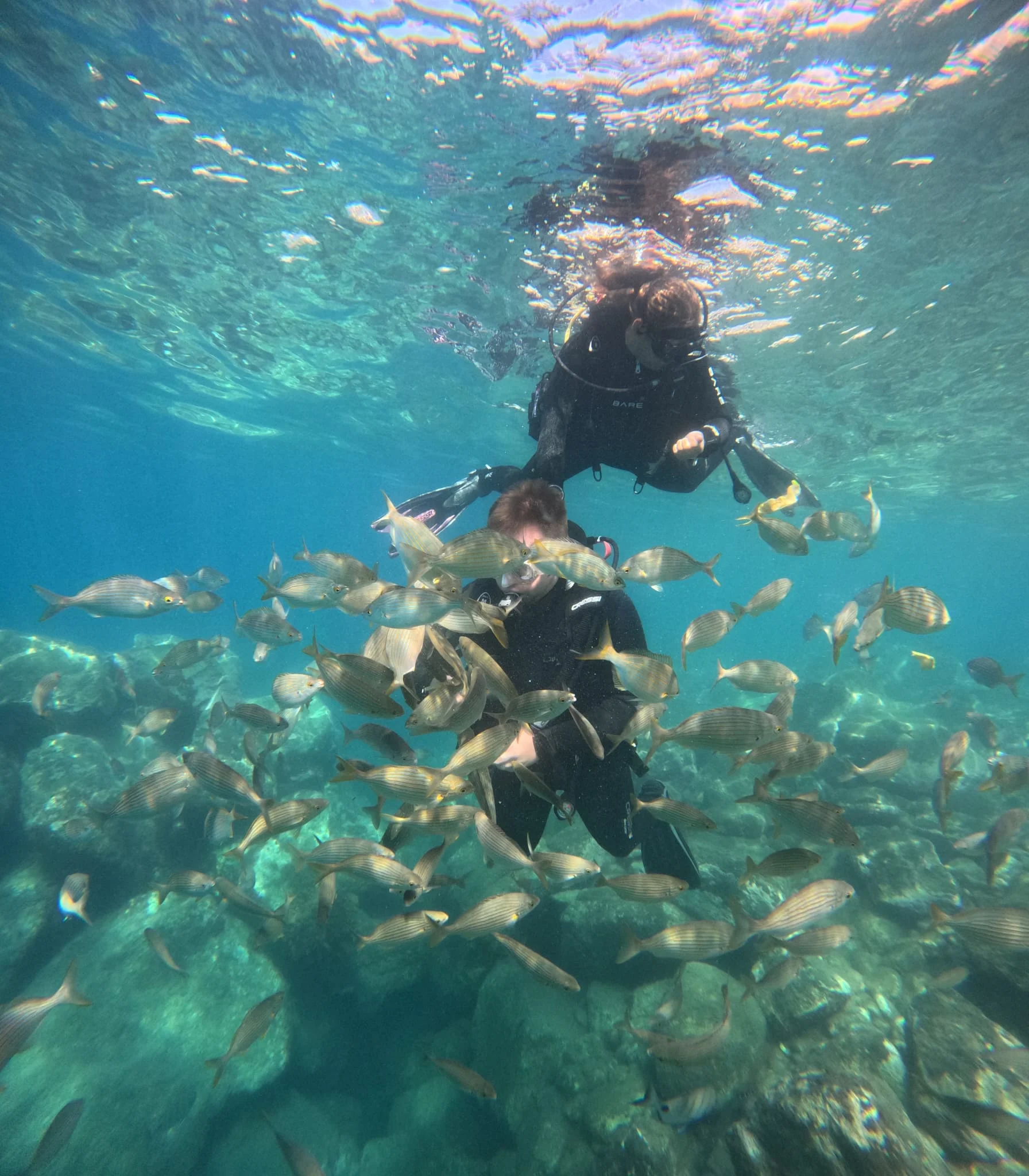 Buceo en español – Gran Canaria (PADI Discover Scuba)