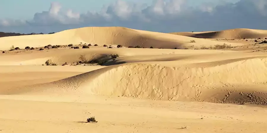 Encantos de Fuerteventura – excursión en ferri desde Lanzarote