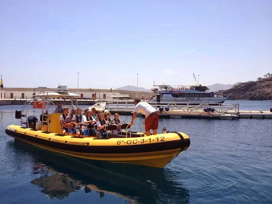 Avistamiento de delfines – lancha rápida 2h