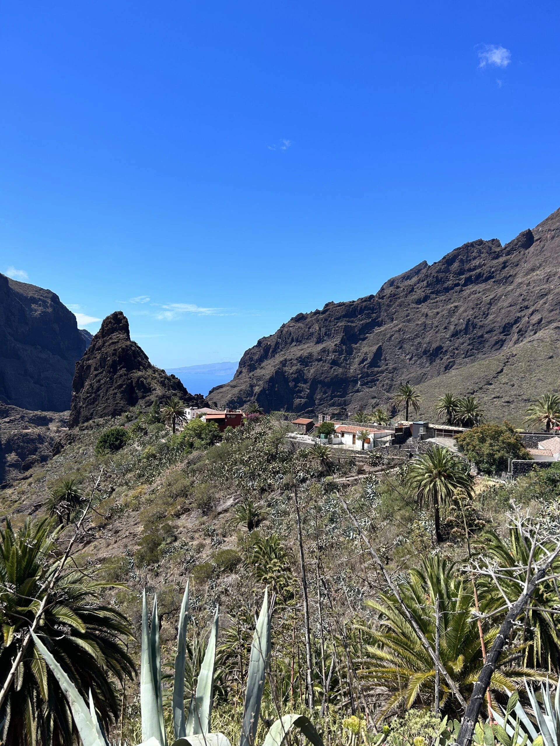 Exclusive excursion to Teide and Masca