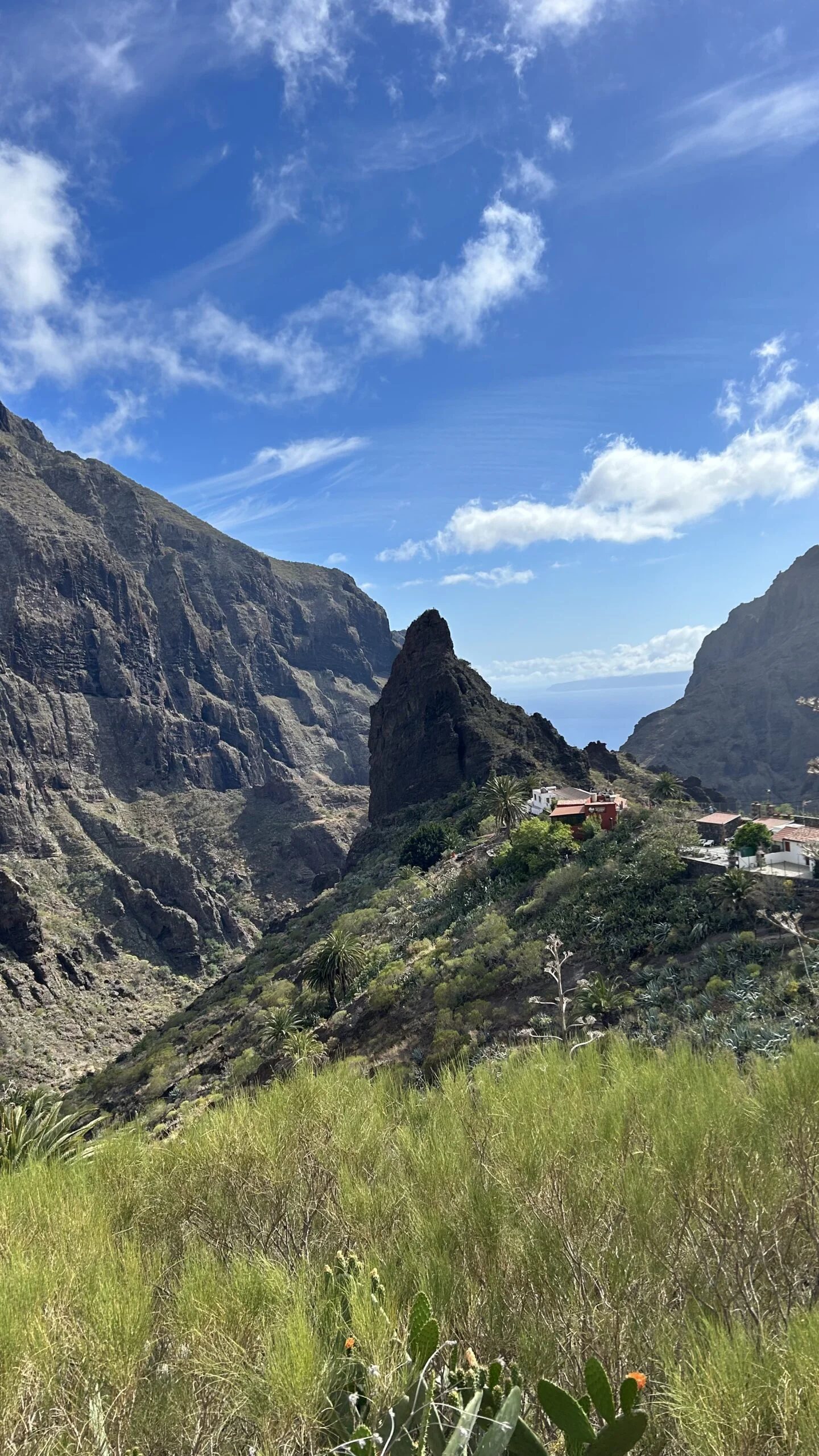 Exclusive excursion to Teide and Masca