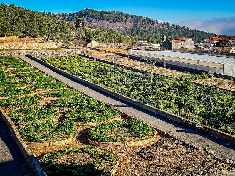 Exclusive excursion to Teide and Masca