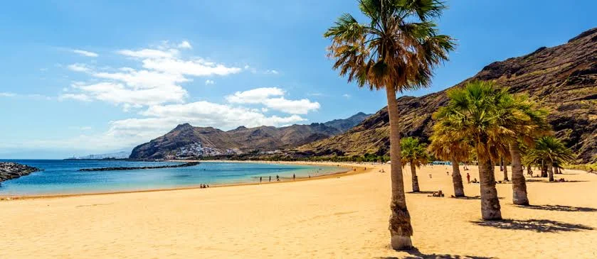 The wild north of Tenerife (VIP)
