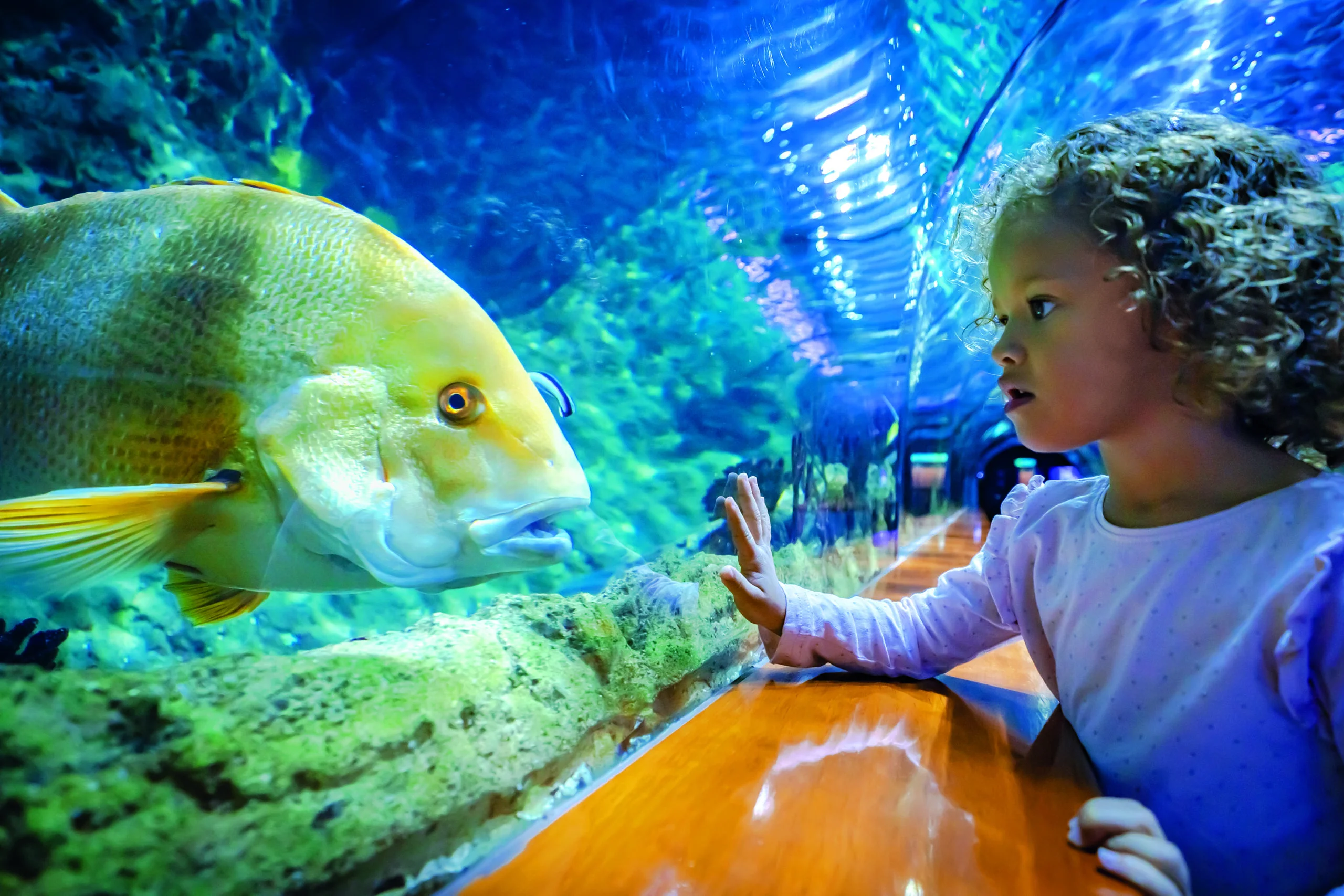 Loro Parque