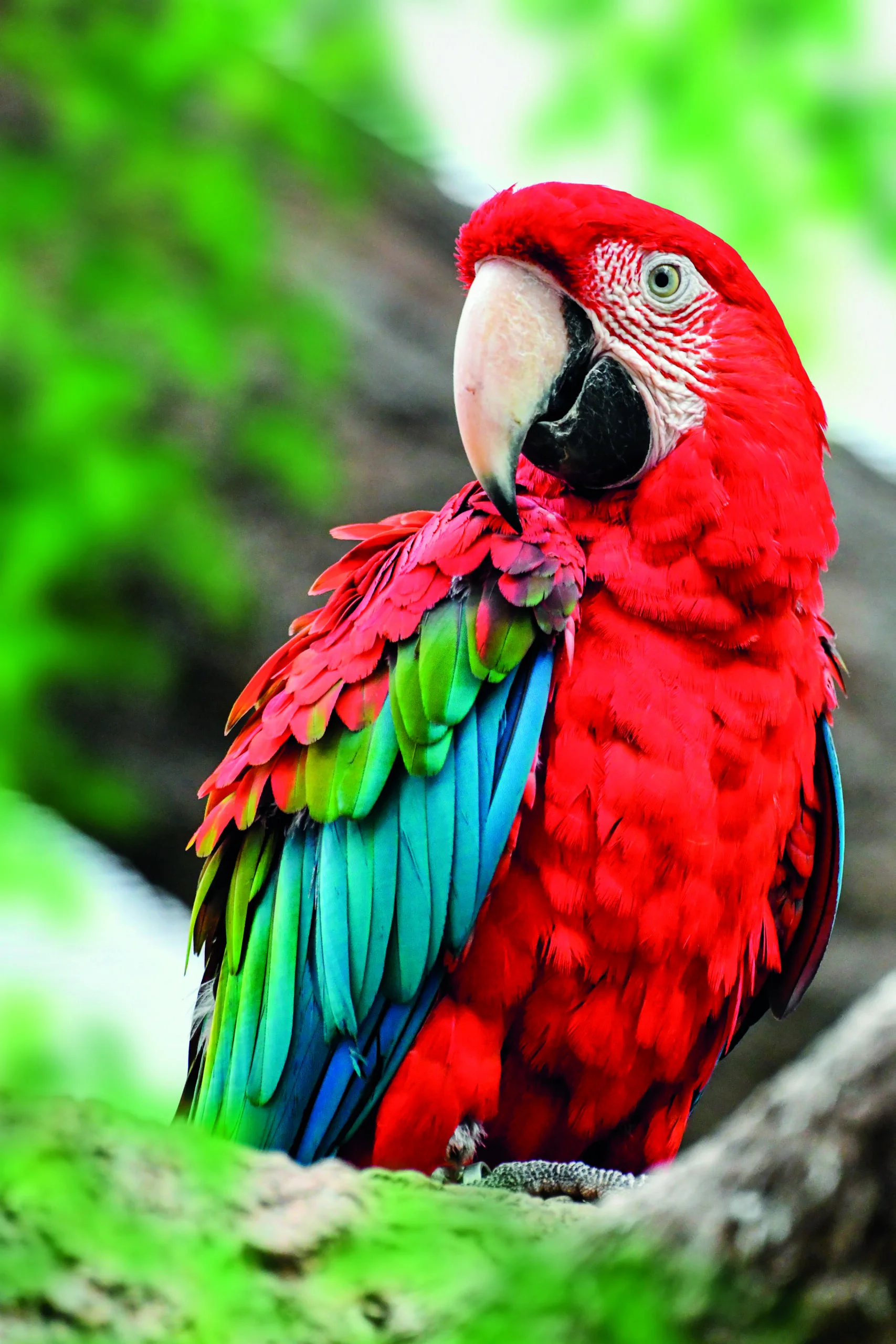 Loro Parque