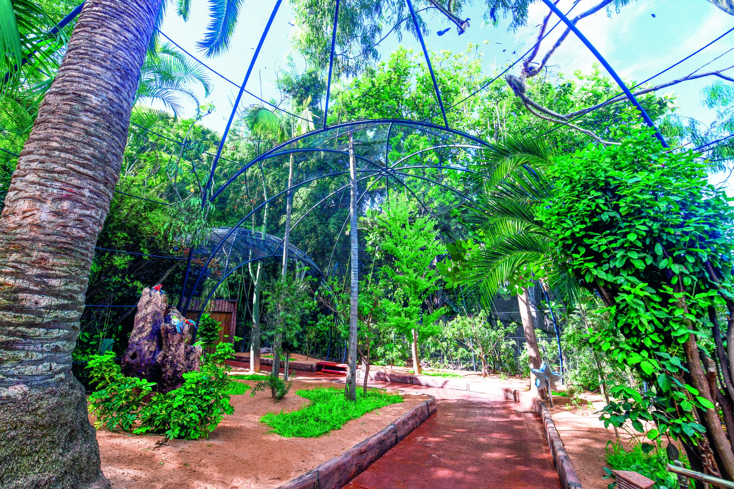 Loro Parque