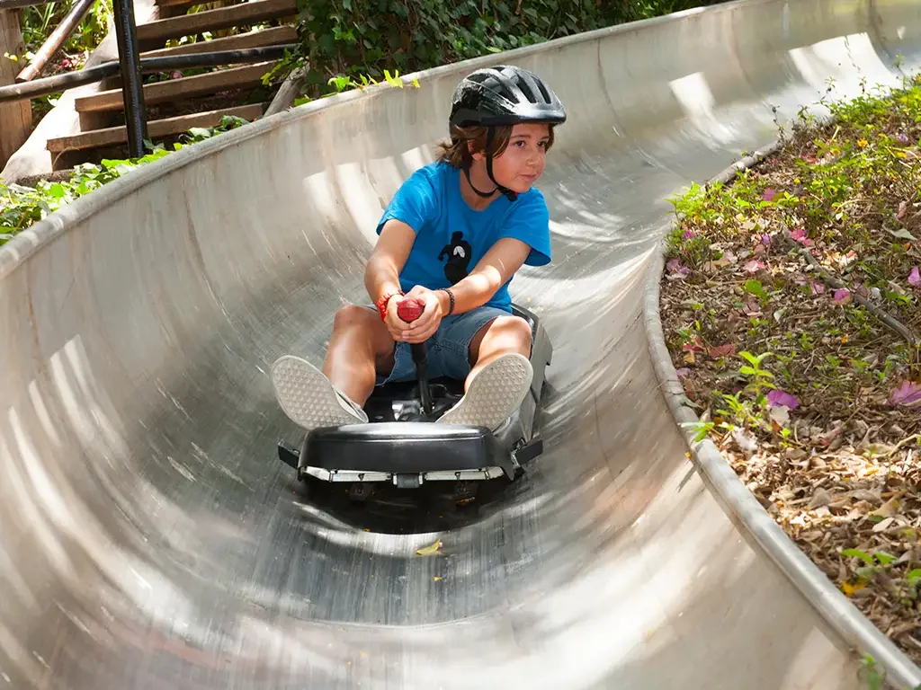Jungle Park