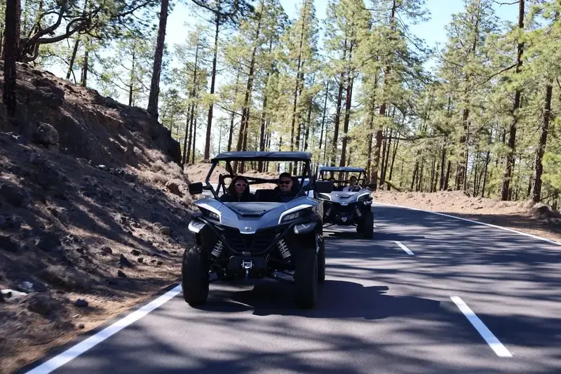 Buggy tour to Teide