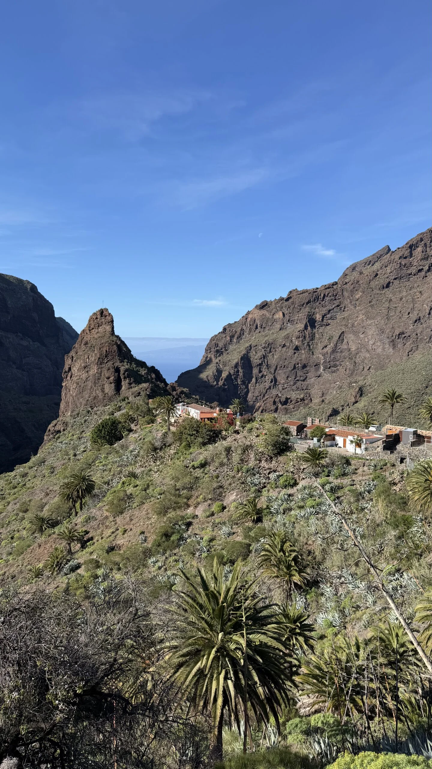 Teide, Garachico, Icod de los Vinos, and Masca – the most beautiful corners of Tenerife in one day