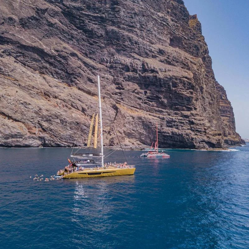 4.5-Hour Catamaran Cruise on the Atlantic Ocean (Puerto de la Cruz)