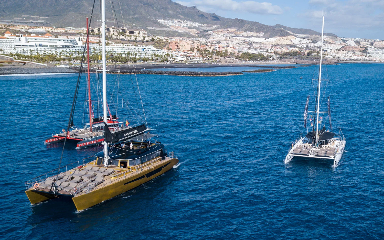 4.5-Hour Catamaran Cruise on the Atlantic Ocean (Puerto de la Cruz)