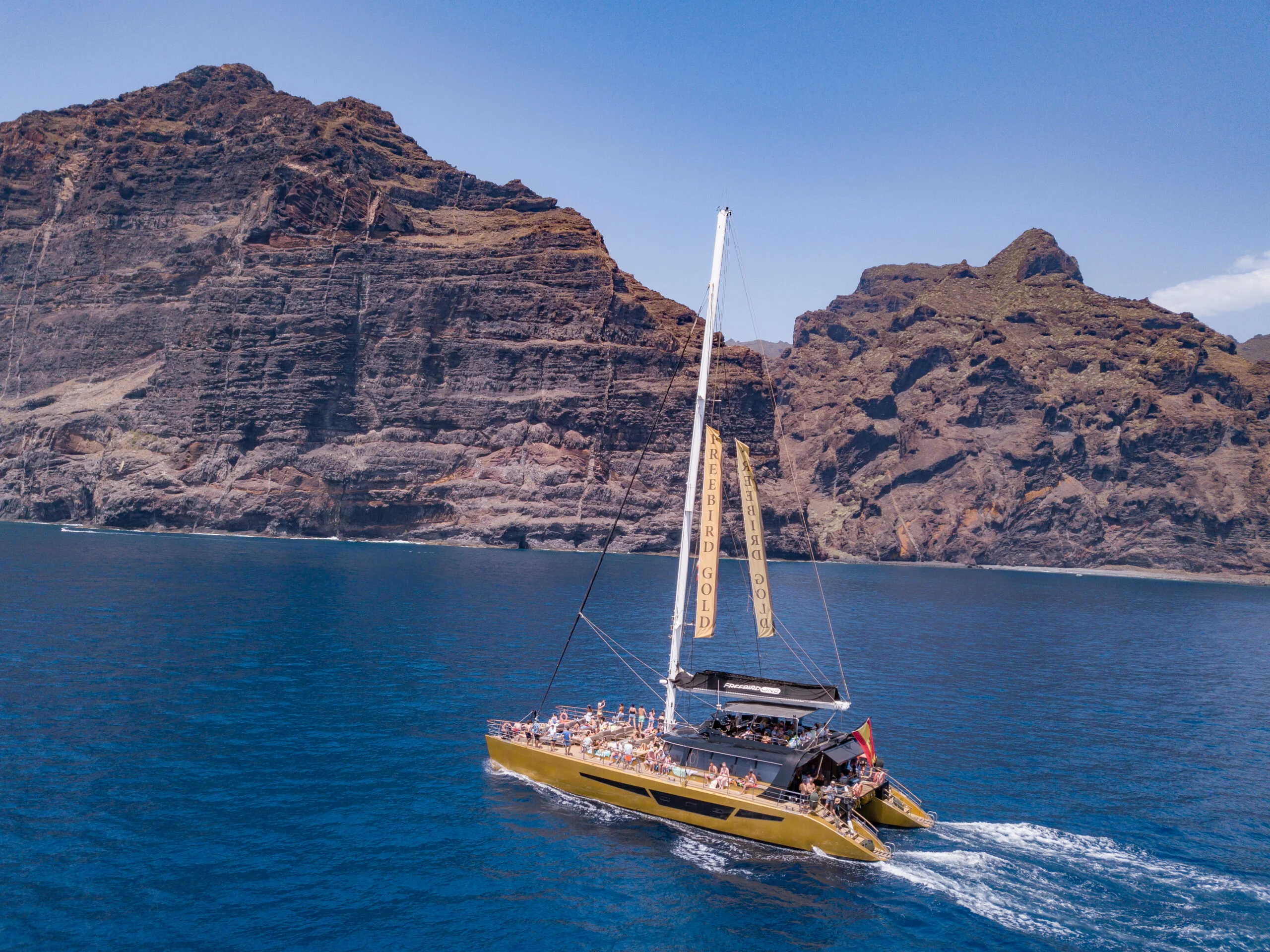 4.5-Hour Catamaran Cruise on the Atlantic Ocean (Puerto de la Cruz)