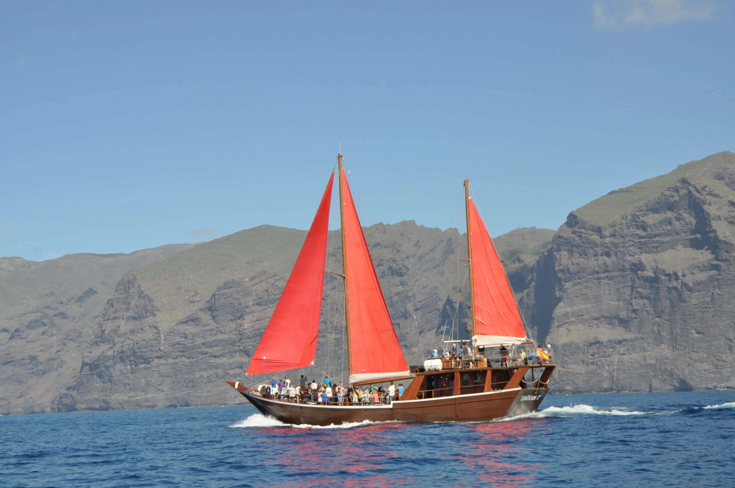 Sailing Cruise to Los Gigantes (Puerto de la Cruz)