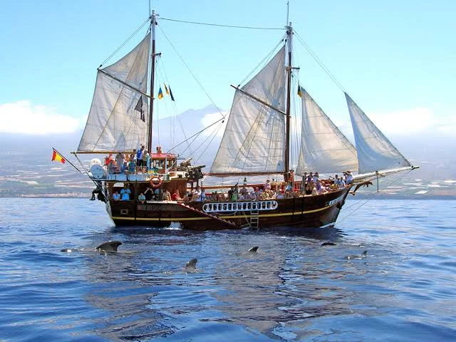 Pirate Ship Adventure with Whale and Dolphin Watching