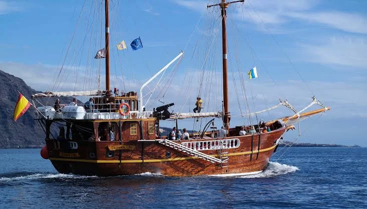 Pirate Ship Adventure with Whale and Dolphin Watching