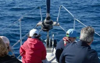 Sailing Trip from Los Gigantes