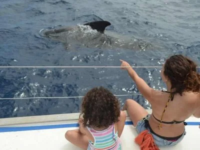 Sailing Trip from Los Gigantes