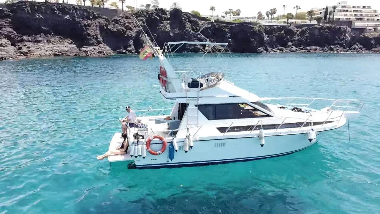 Private Yacht Charter: Whale and Dolphin Watching