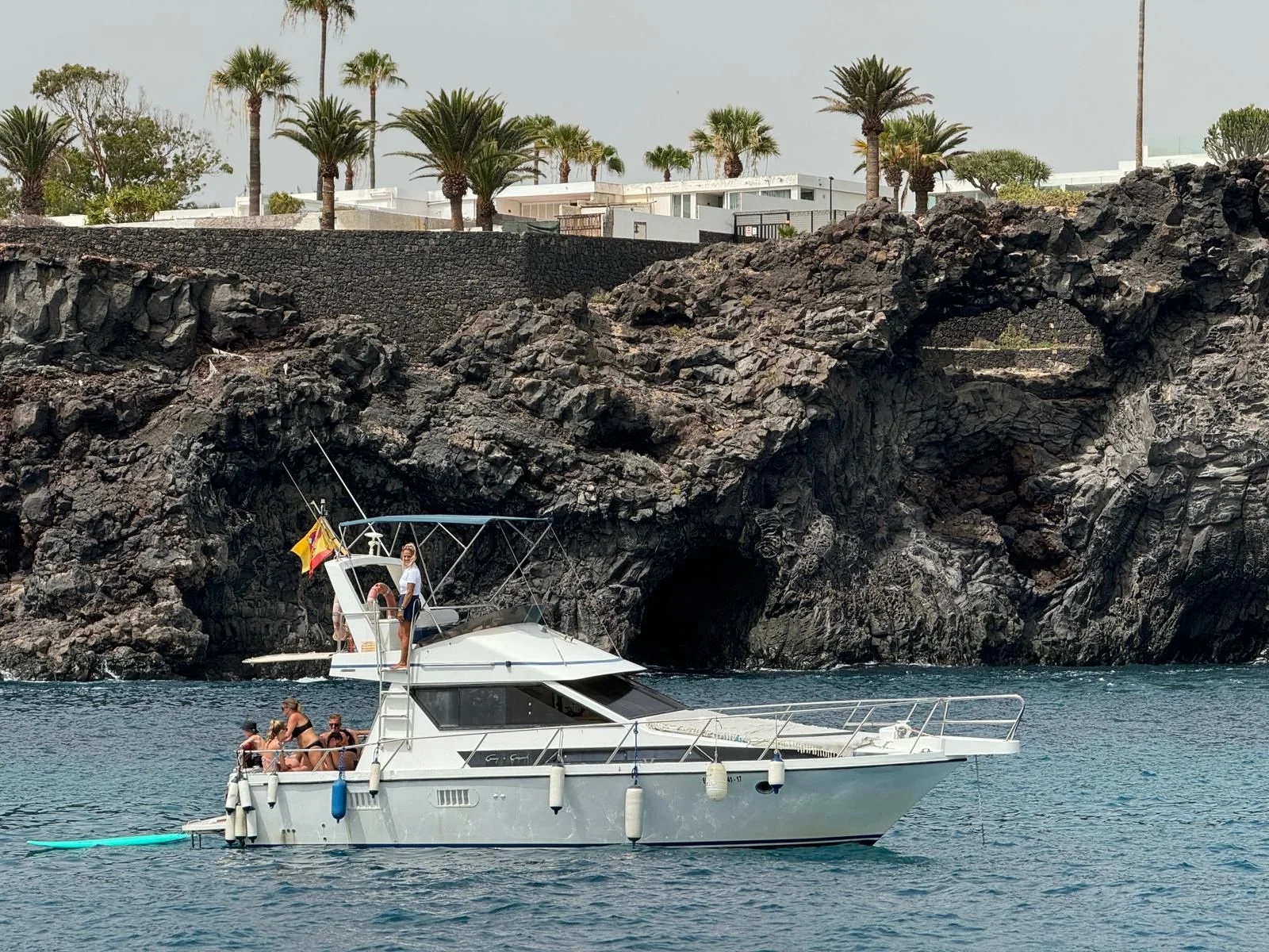 Private Yacht Charter: Whale and Dolphin Watching