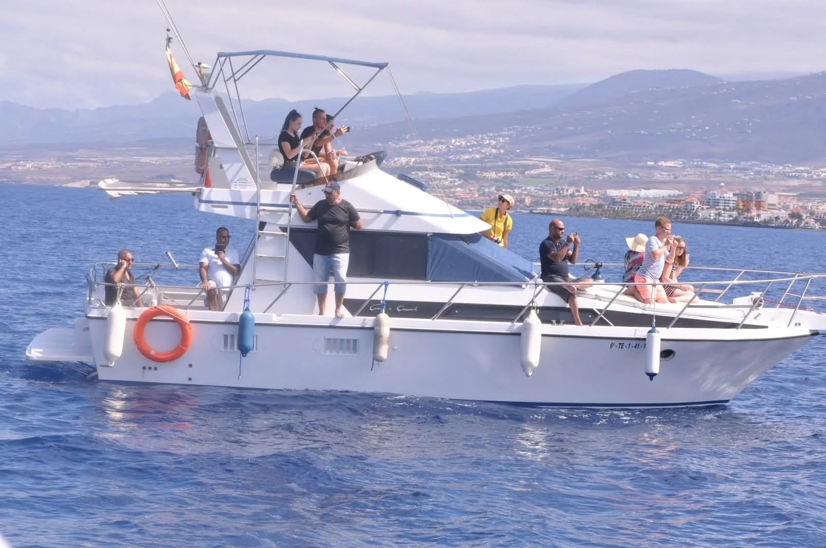 Private Yacht Charter: Whale and Dolphin Watching