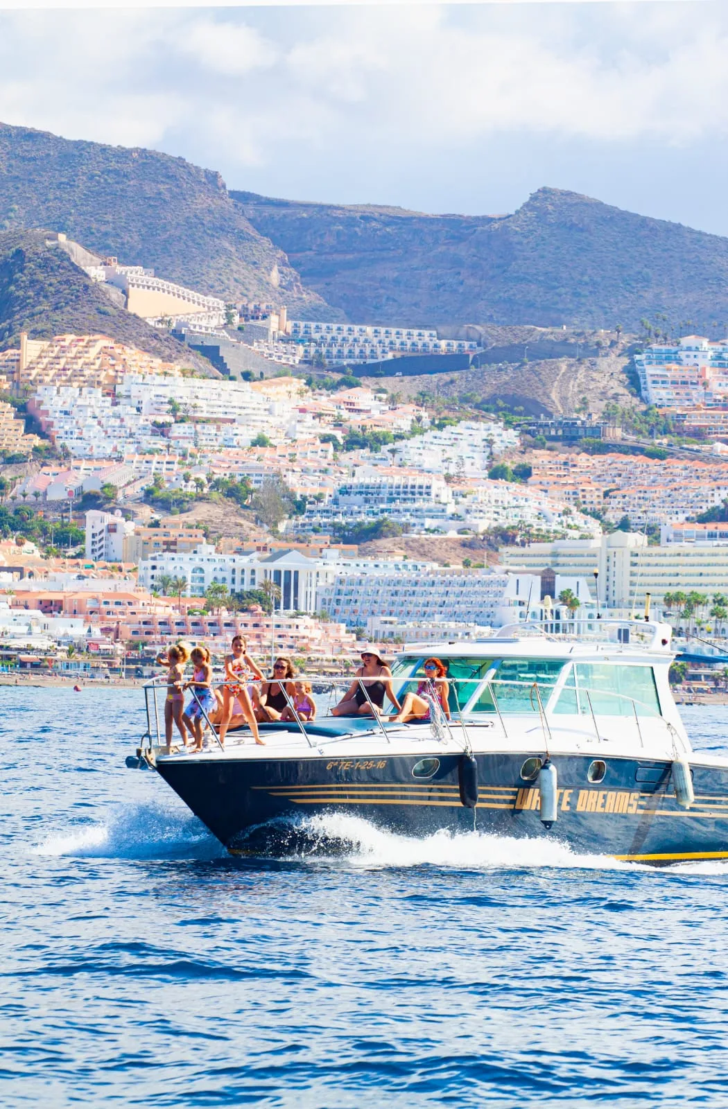 Yacht cruise dolphin and whale watching