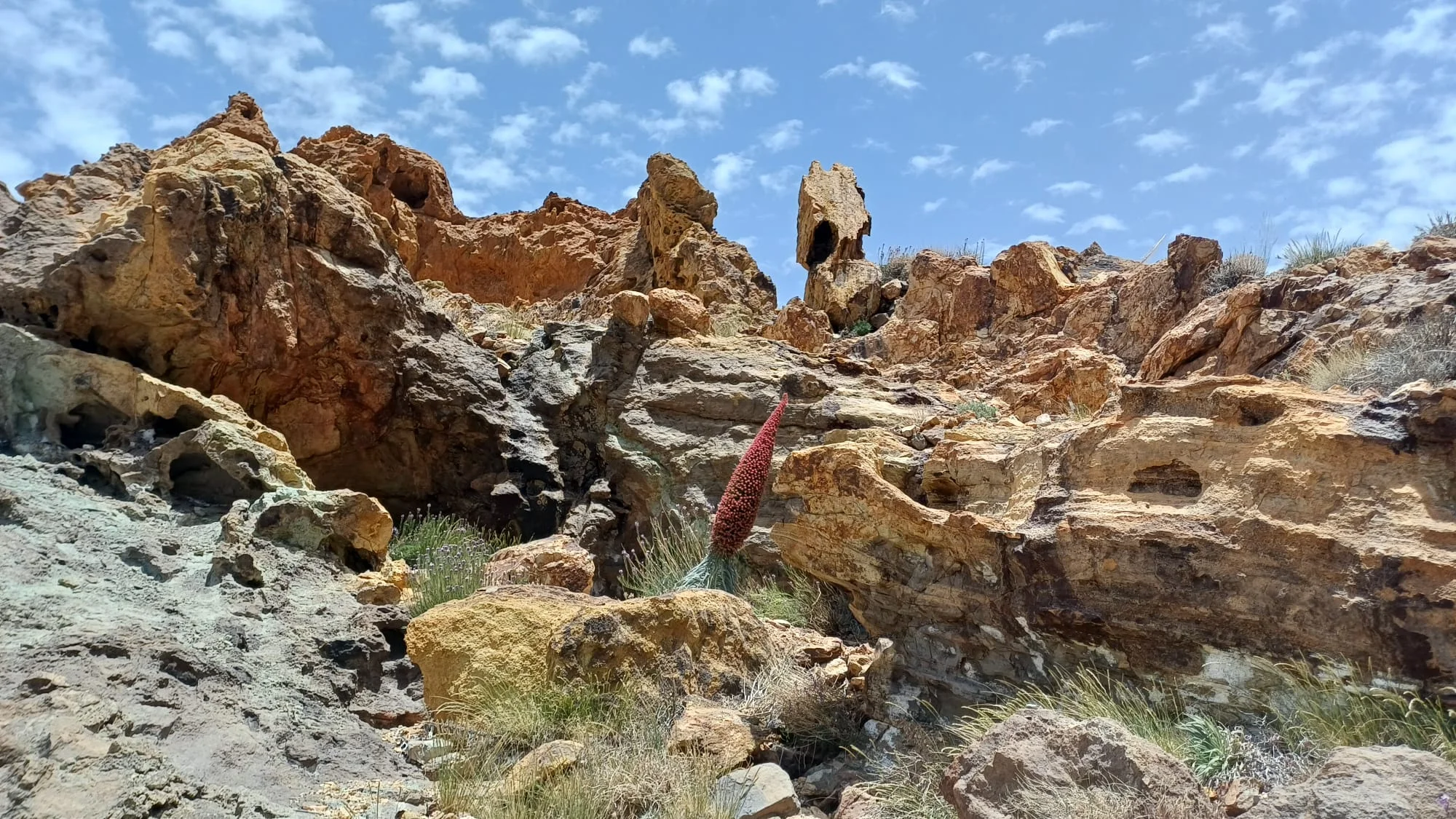 Treasures of the northwest of Tenerife
