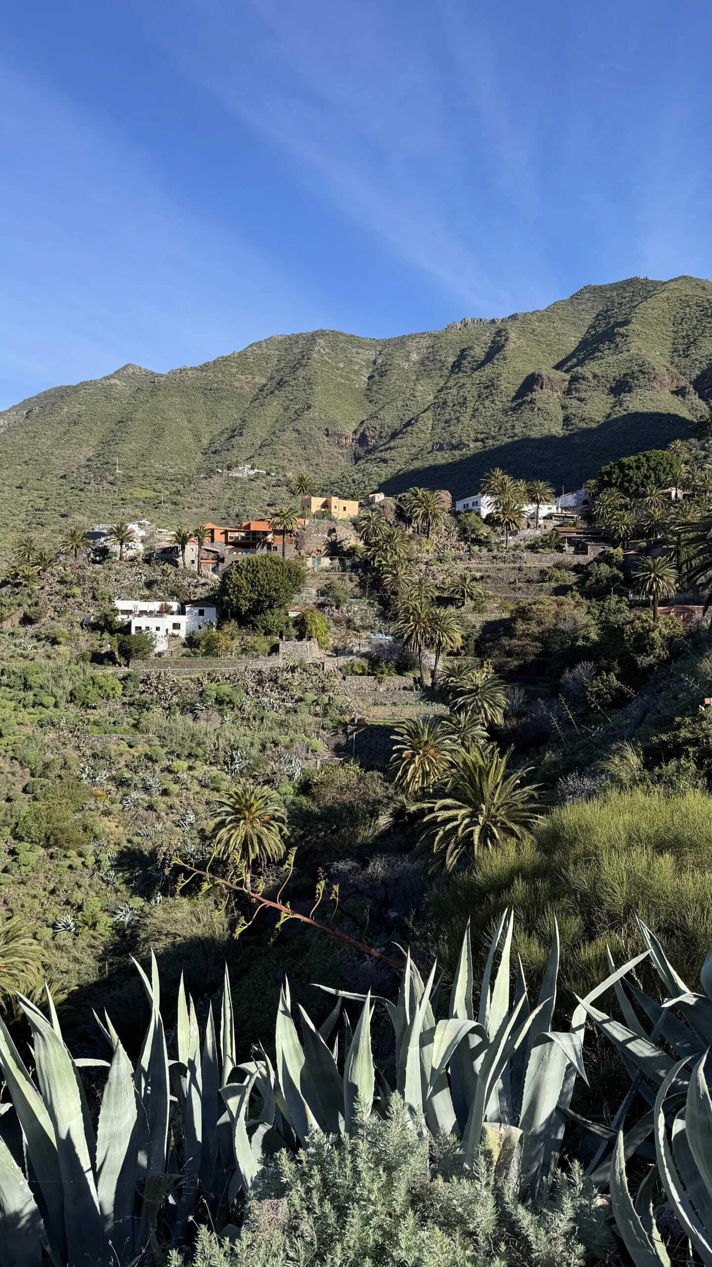 Teide, Masca and Icod de los Vinos