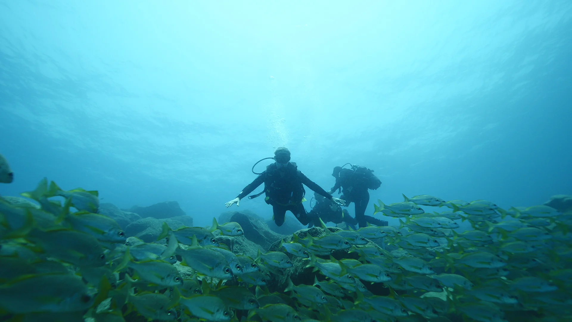 Diving with a Polish Instructor – Sea Baptism