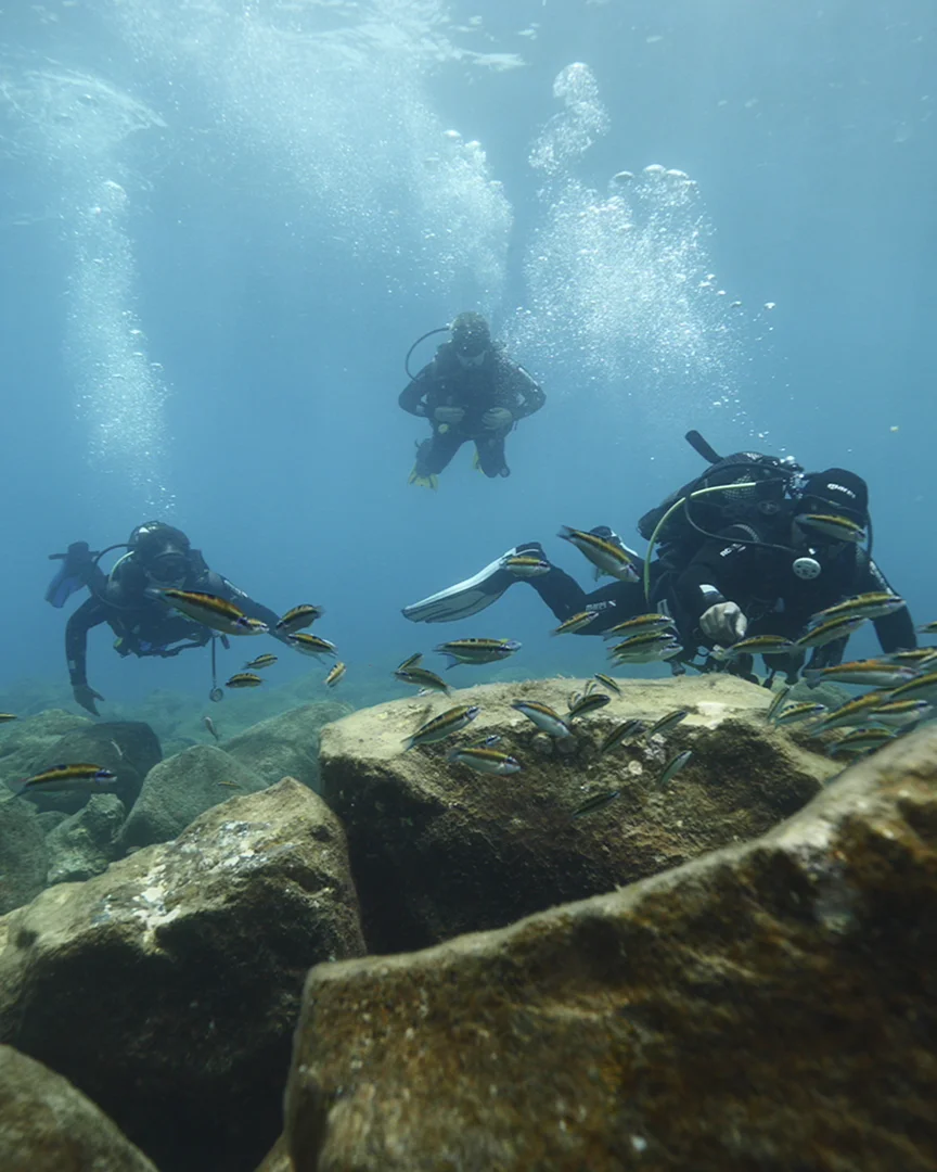 PADI Open Water Diver Course