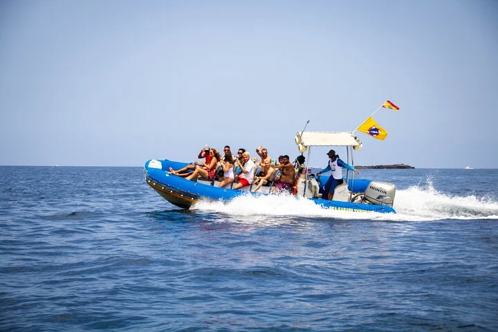Marine Safari with Dolphin and Whale Watching