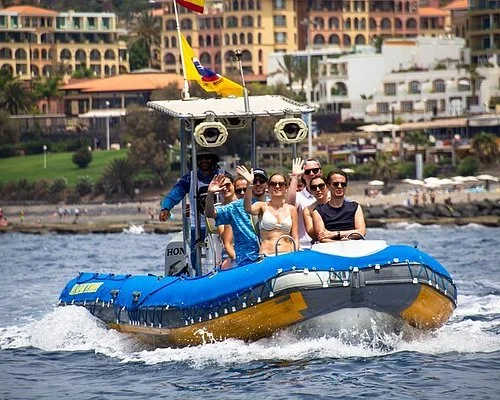 Marine Safari with Dolphin and Whale Watching