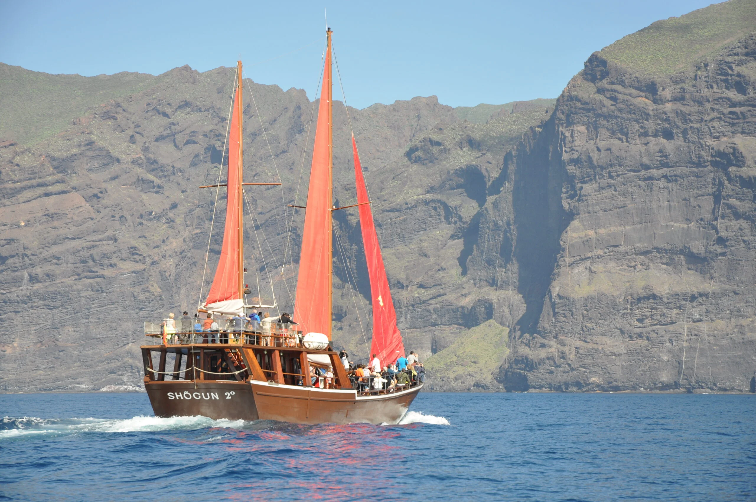Sailing Cruise to Los Gigantes