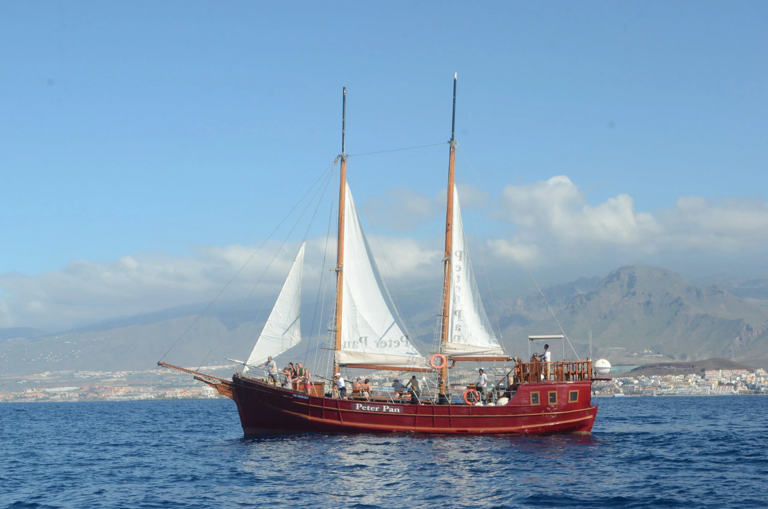 Sailing Cruise to Los Gigantes