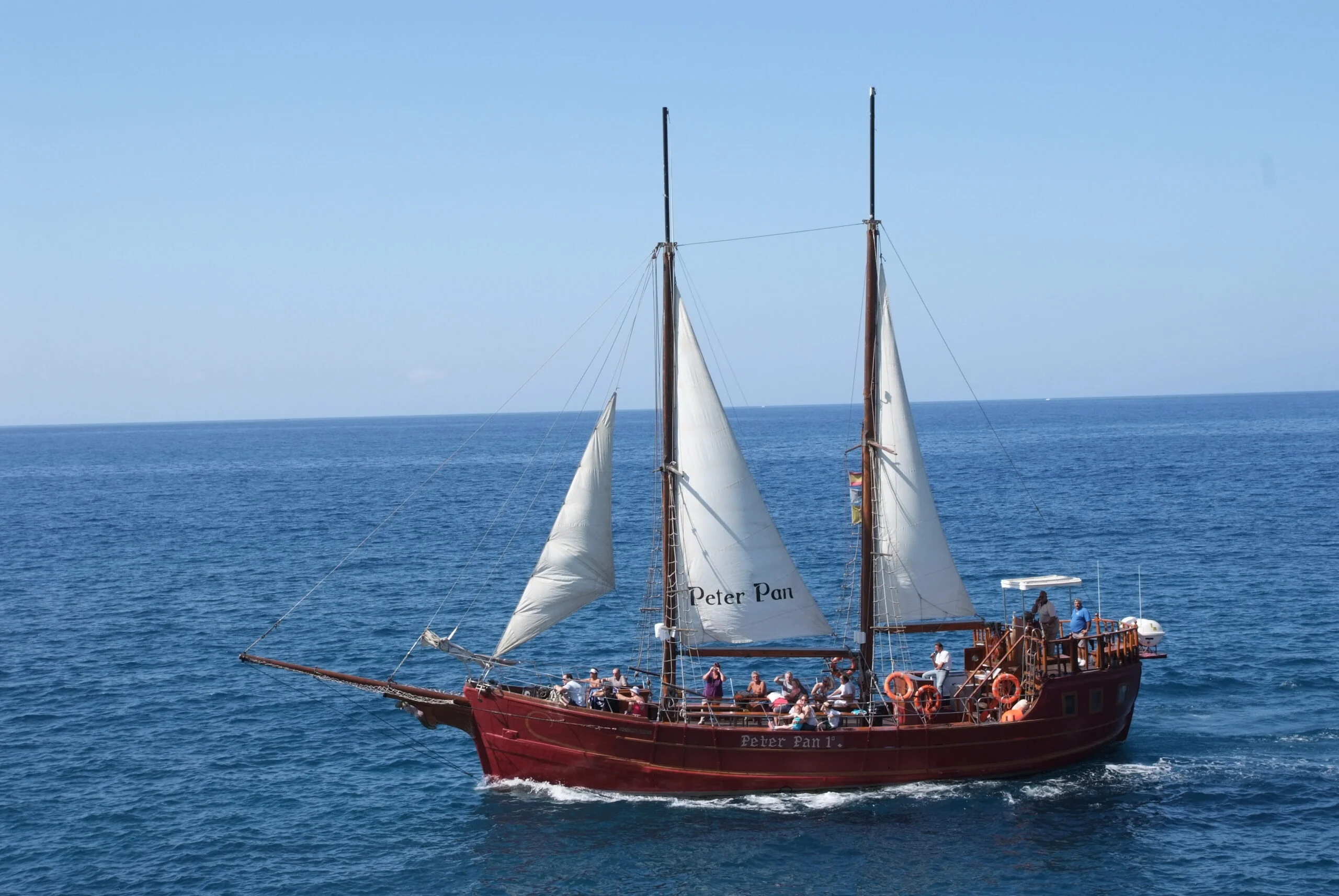 2-Hour Sailing Cruise for Dolphin and Whale Watching