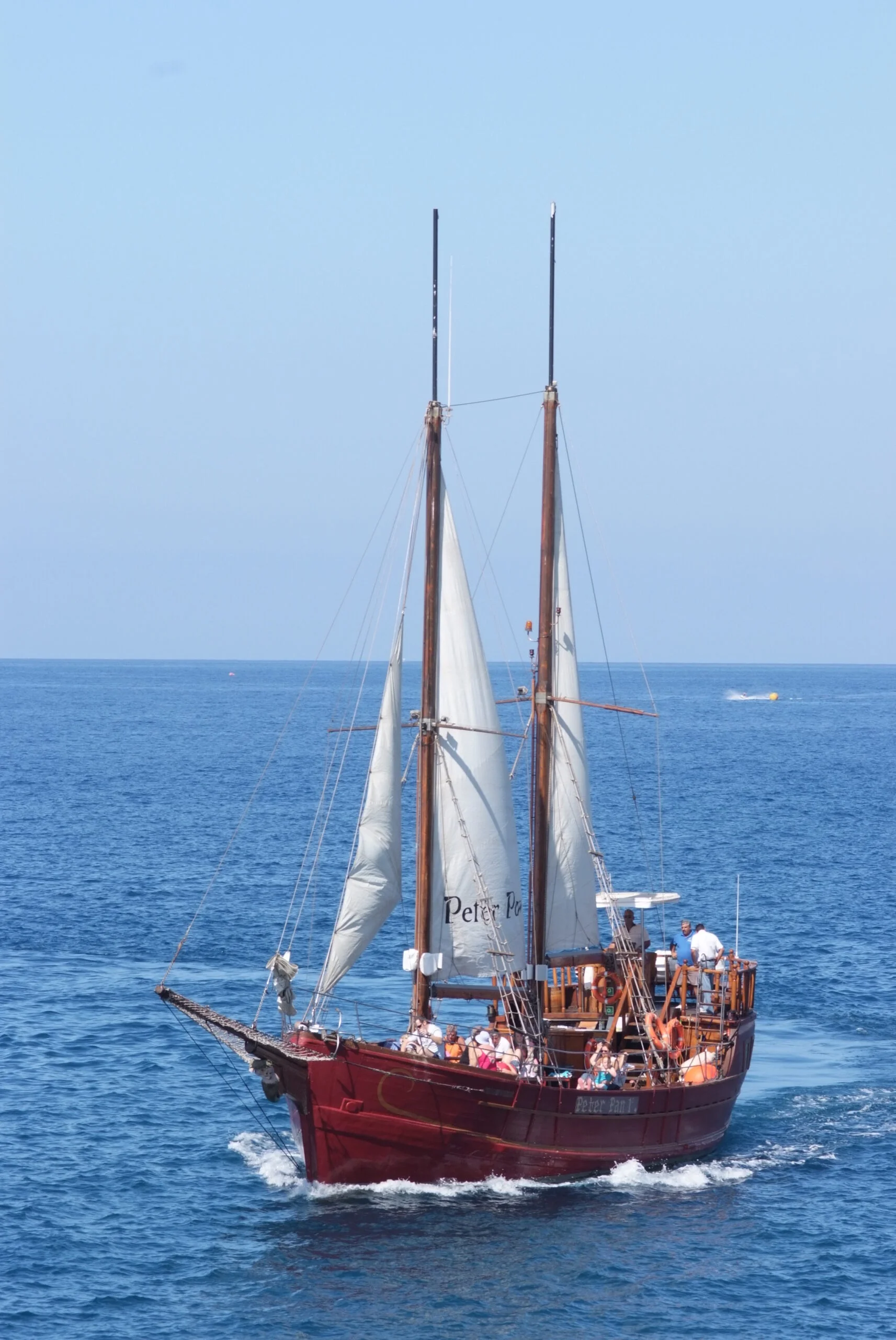 2-Hour Sailing Cruise for Dolphin and Whale Watching