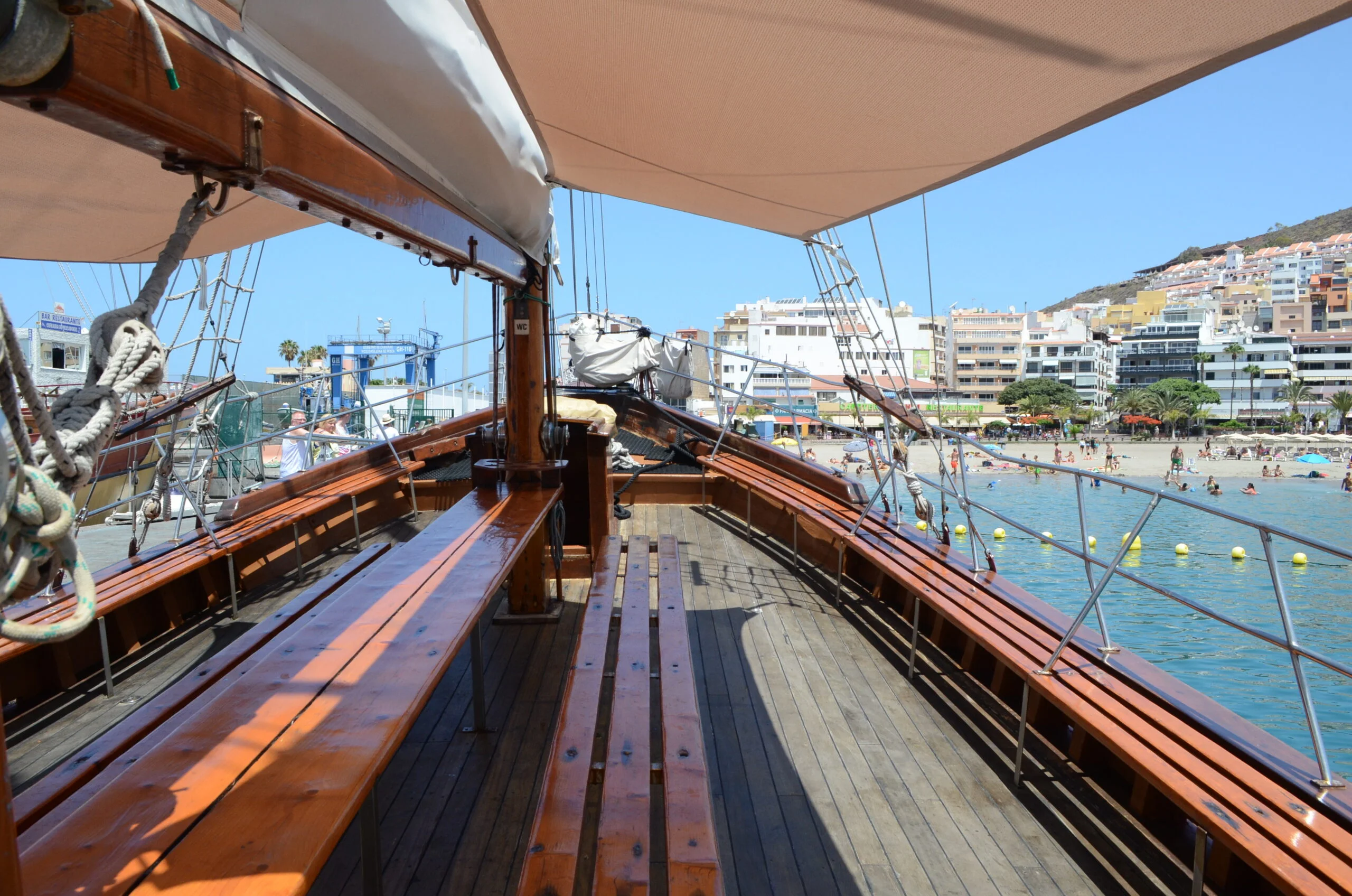 2-Hour Sailing Cruise for Dolphin and Whale Watching