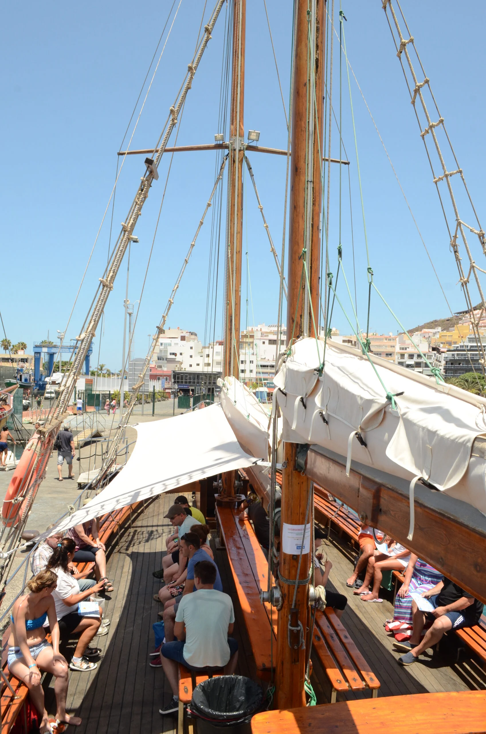 2-Hour Sailing Cruise for Dolphin and Whale Watching